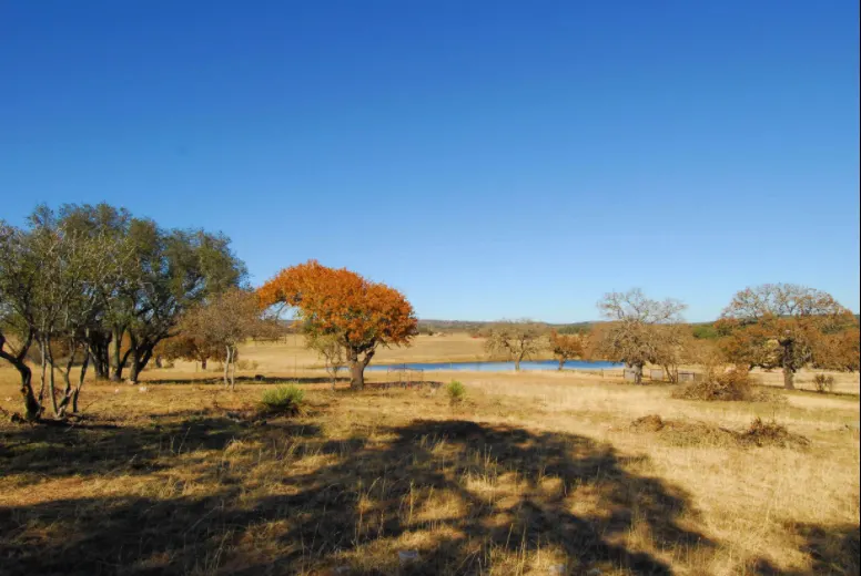 10 Acres and Barndominium in Texas