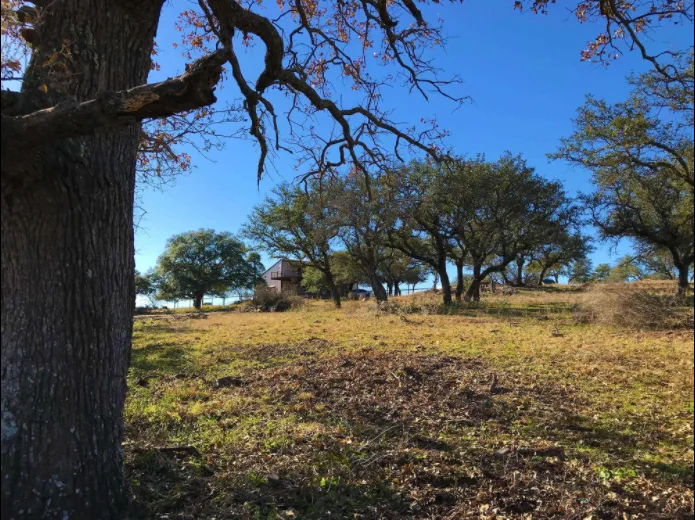 10 Acres and Barndominium in Texas view