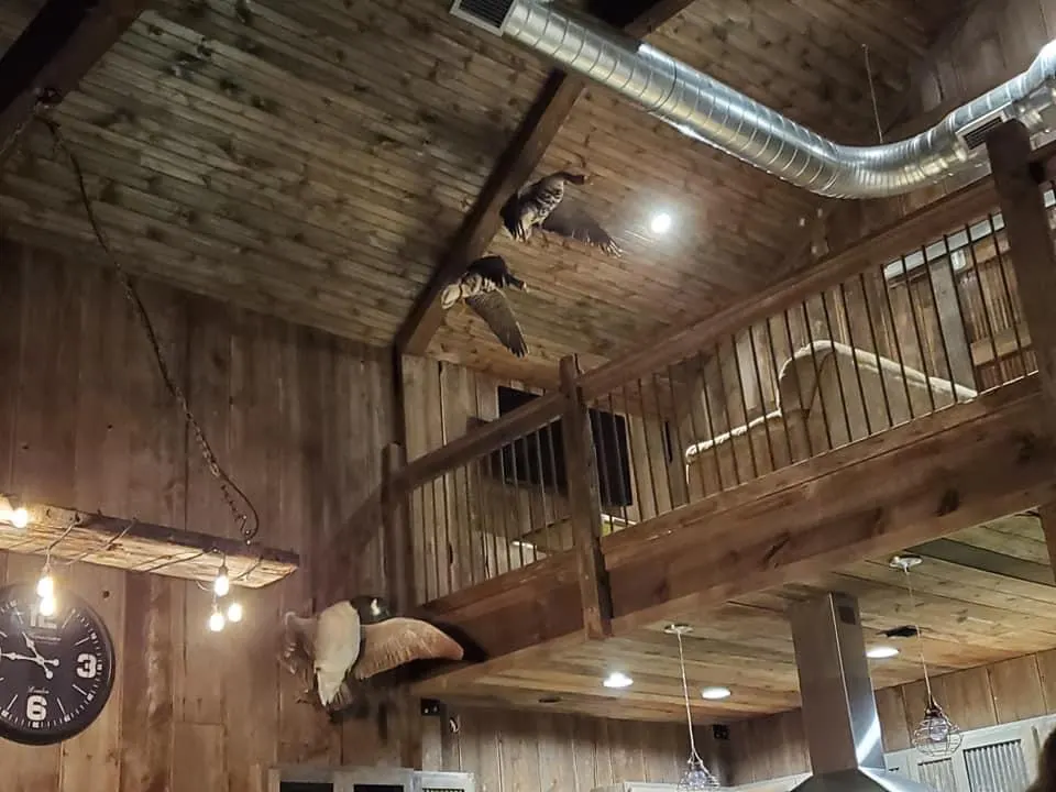 Loft