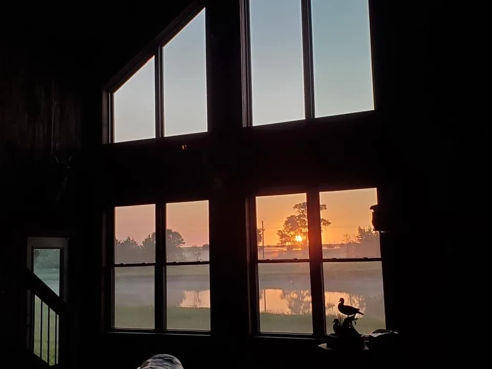 huge windows