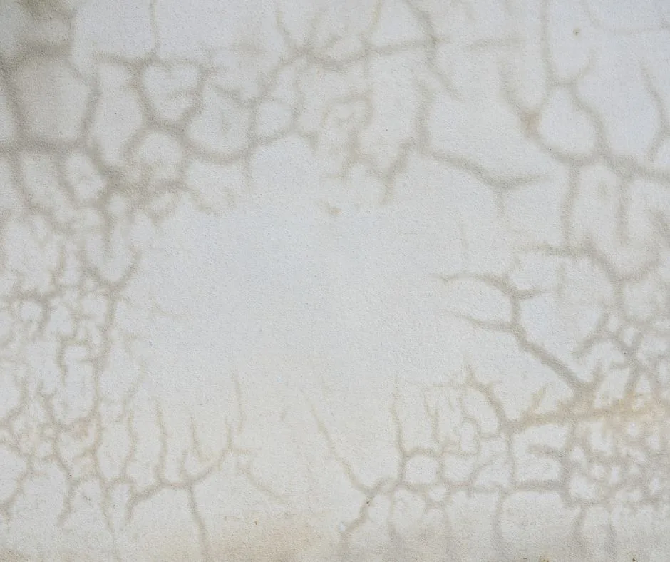 80x100 Concrete Slab Cost