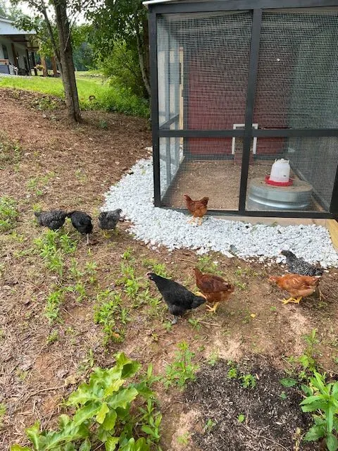 Northern Roots Farm: Georgia Barndominium by Kevin and Karyn Smith ...